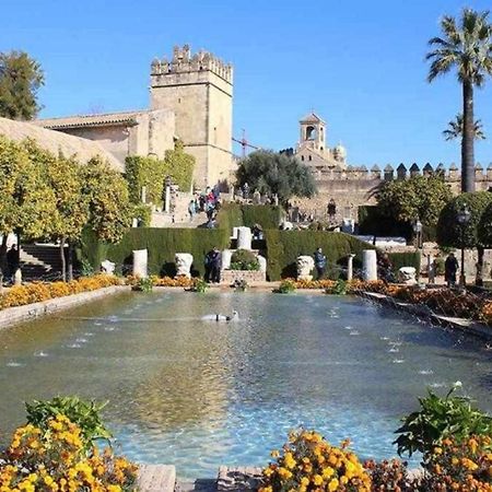 Precioso Loft El Arcangel Junto A La Ribera Cordoba Exterior photo